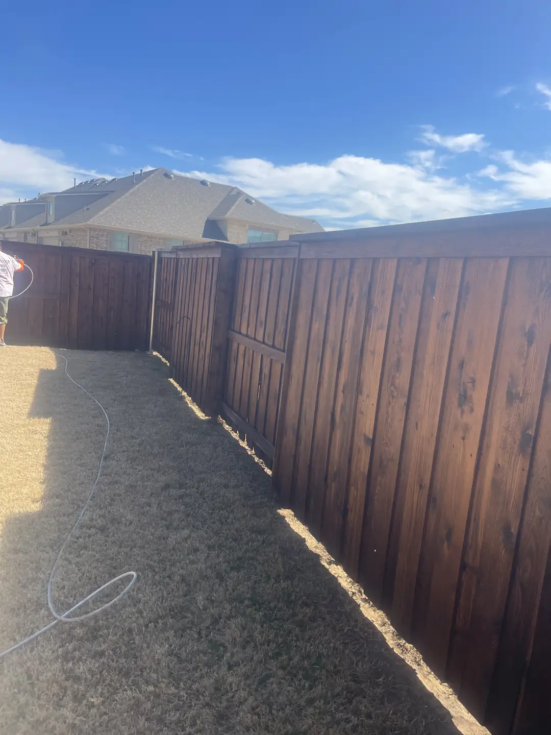 Crew member spraying stain along a long fence run