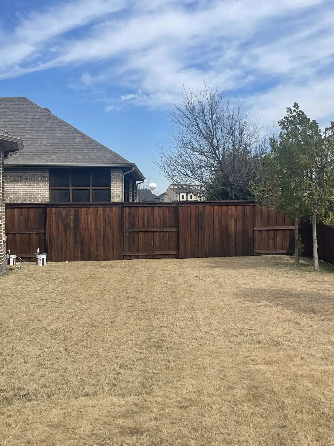 Backyard fence line stained to a rich, even finish